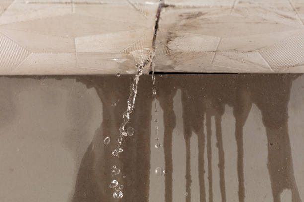 Professional Water Damage Inspection technician working in Argusville, ND